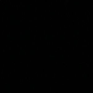 Meet your Posher, Maddy